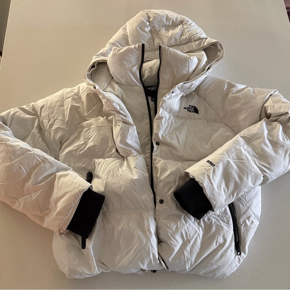 The North Face 550 Down Hooded Puffer Jacket
